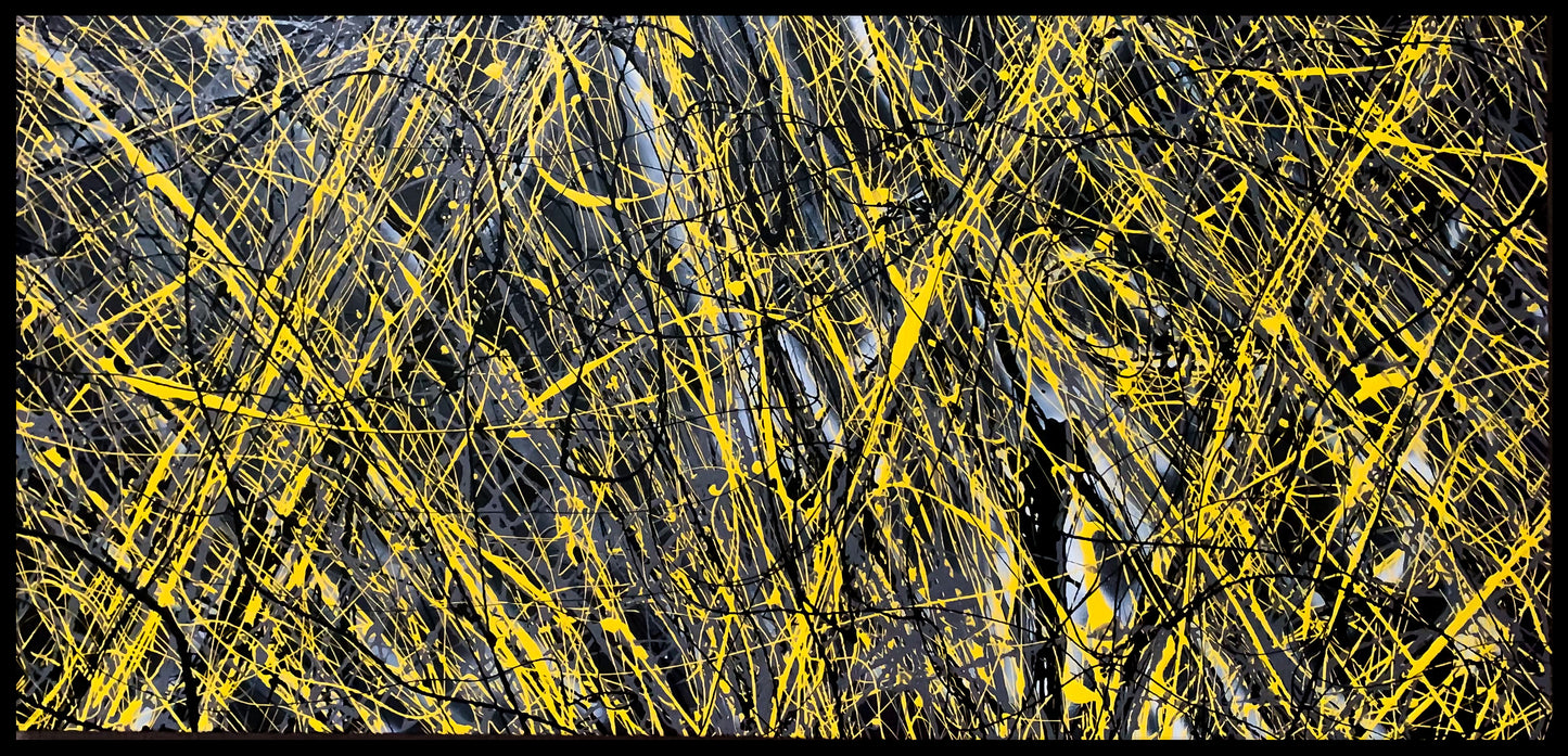 Black and Yellow